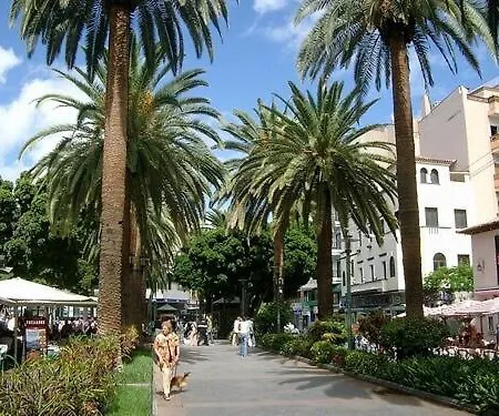 アパート Lindo Estudio En Martianez