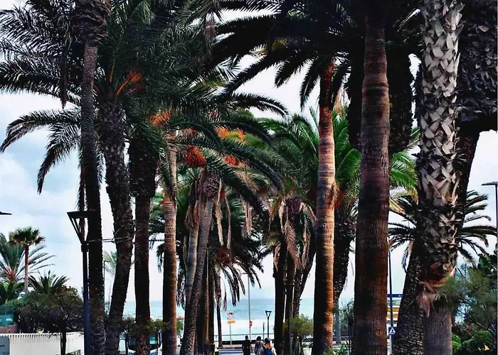 Apartman Lindo Estudio En Martianez Puerto de la Cruz
