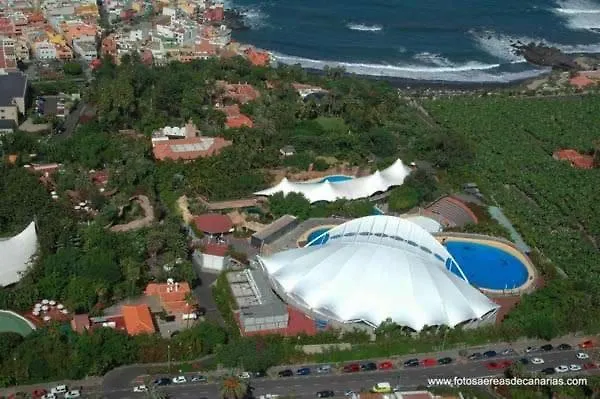 Lindo Estudio En Martianez Apartman