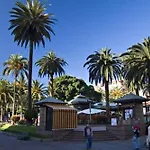 Lindo Estudio En Martianez Puerto de la Cruz (Tenerife)